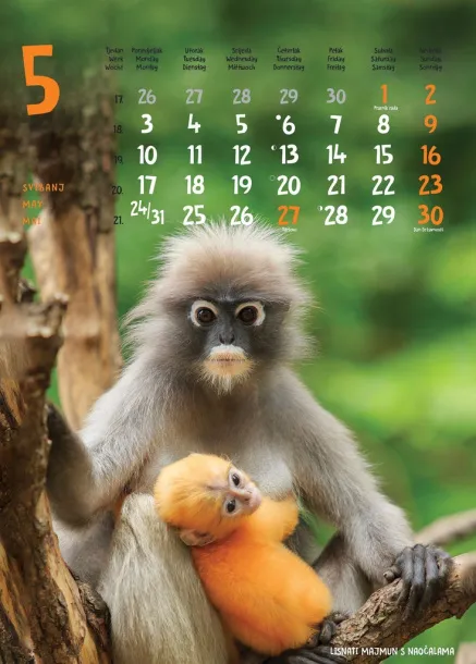  "ŽIVOTINJE" color kalendar Color