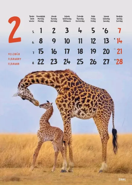  "ŽIVOTINJE" color calendar Color