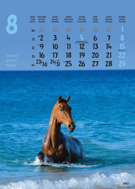  "ŽIVOTINJE" color kalendar Color