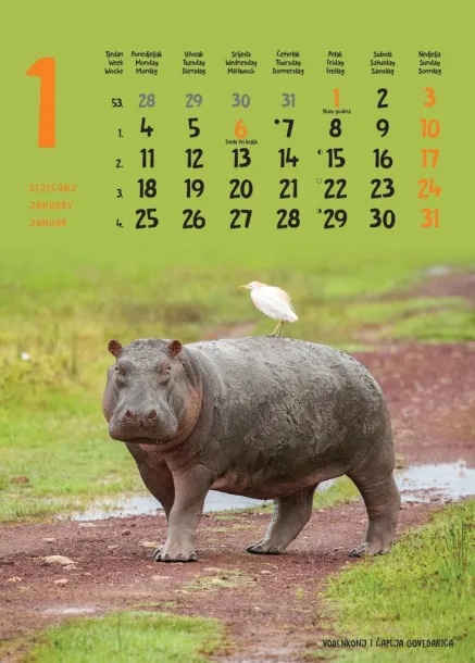  "ŽIVOTINJE" color calendar Color