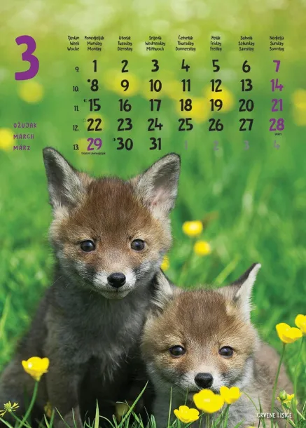  "ŽIVOTINJE" color calendar Color