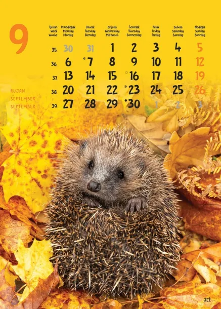  "ŽIVOTINJE" color kalendar Color