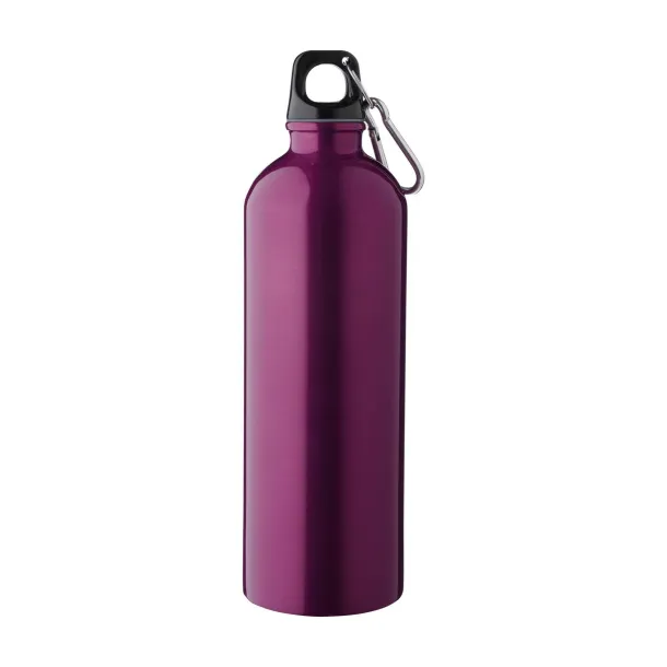 Emeric Recycled stainless steel single walled bottle (750 ml) purple