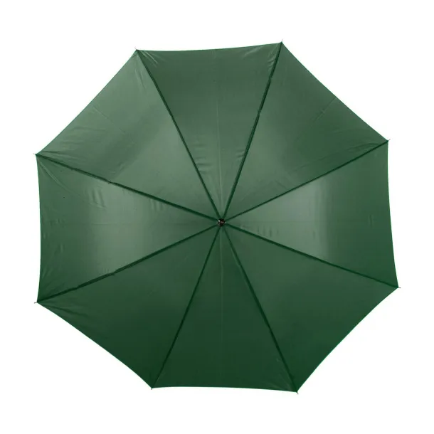  kišobran Andy Poliester (190T) Zelena