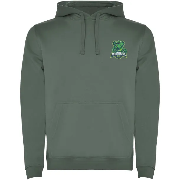 Urban men's hoodie - Roly Laurel green