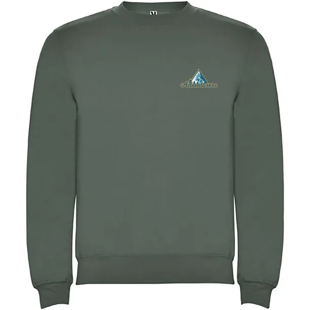 Clasica kids crewneck sweater - Roly Laurel green