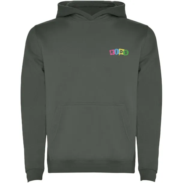 Urban kids hoodie - Roly Laurel green