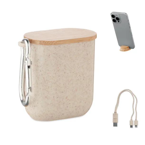 CABSTRA Cable set in case Beige