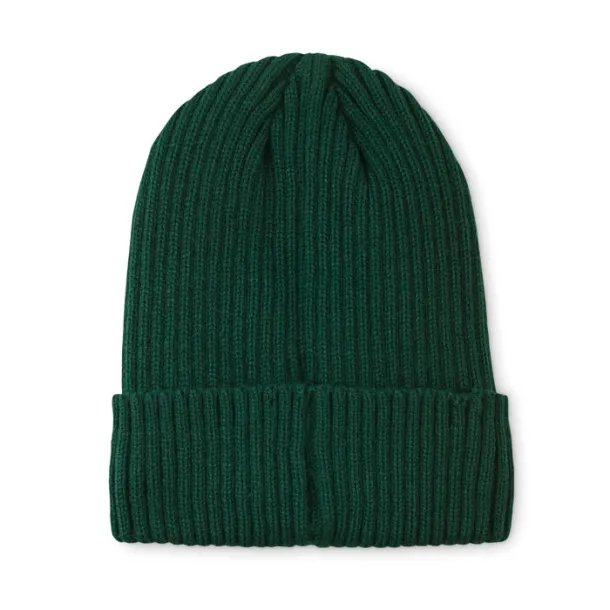 ANVIK 3M knitted beanie with cuff Dark Green