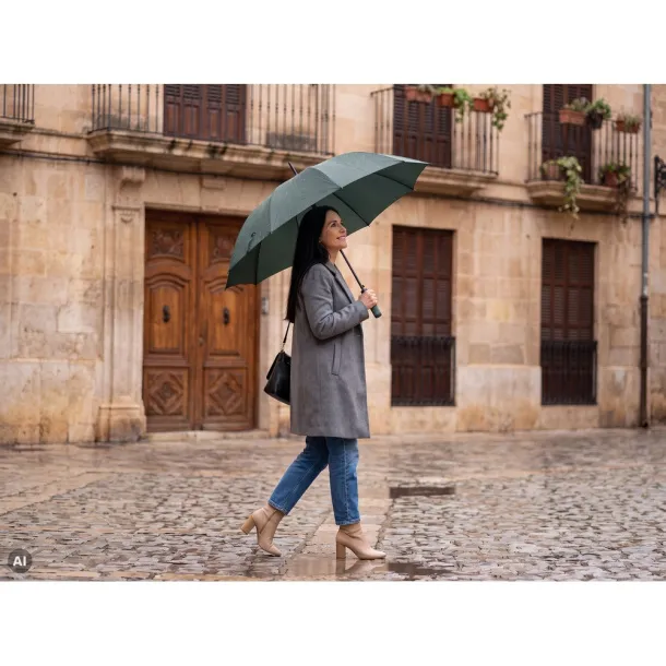  Automatic umbrella A69F99