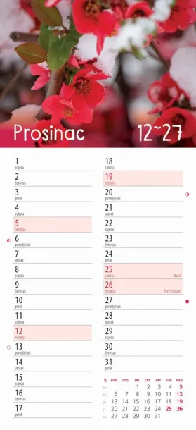  "CVJETNI PLANER" 13 list., dim: 22x55cm,  PVC vrećica, P/50, color kalendar Color