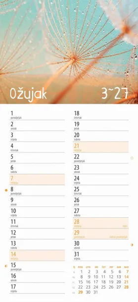  "CVJETNI PLANER" 13 list., dim: 22x55cm,  PVC vrećica, P/50, color kalendar Color