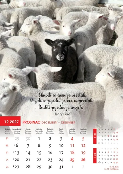  "MOTIVACIJSKI KALENDAR" color kalendar Color