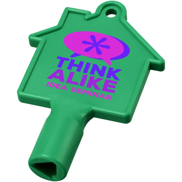 Maximilian house-shaped meterbox key - Unbranded Green