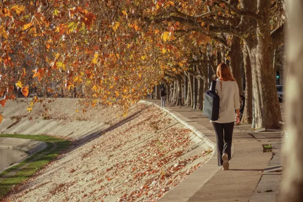  Bobby Bizz 2.0 anti-theft backpack & briefcase - XD Design Navy Blue navy