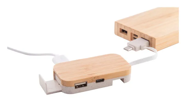 Holbaru USB hub Prirodna