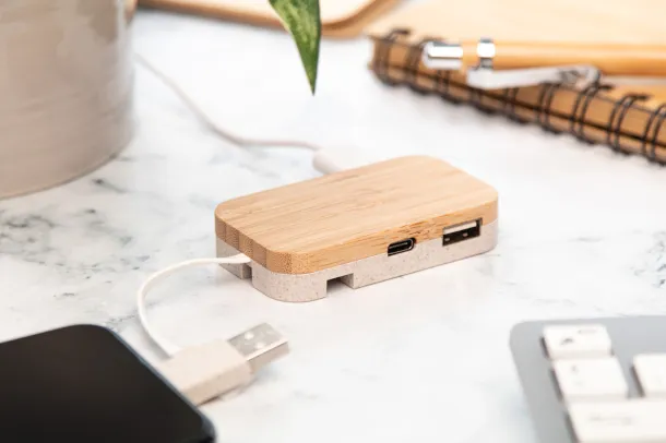 Holbaru USB hub Natural