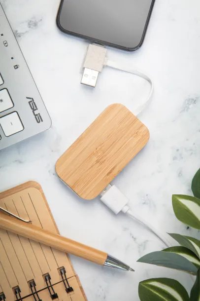 Holbaru USB hub Natural