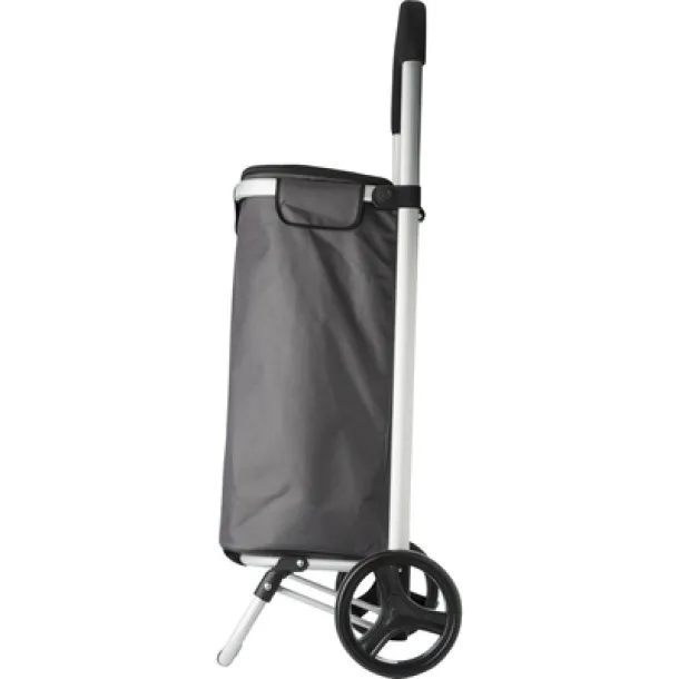  Shopping trolley, cooler bag A69F99