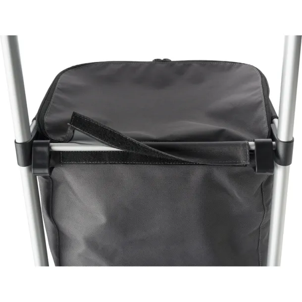  Shopping trolley, cooler bag A69F99