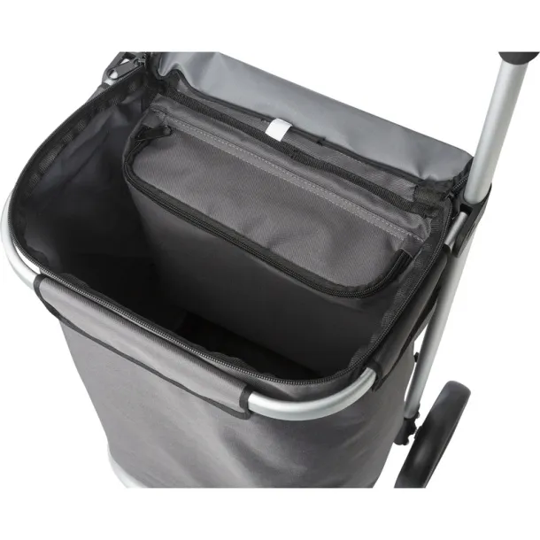  Shopping trolley, cooler bag A69F99