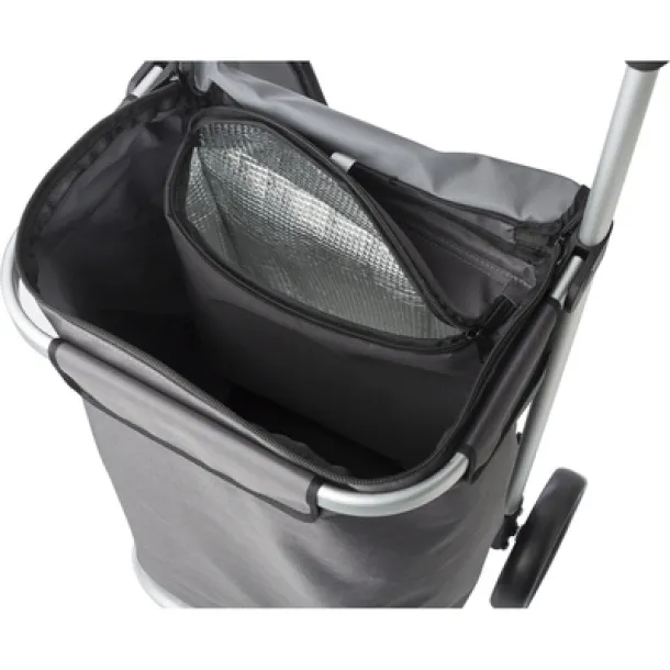  Shopping trolley, cooler bag A69F99