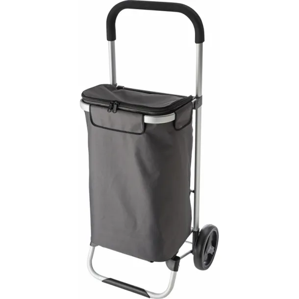  Shopping trolley, cooler bag A69F99