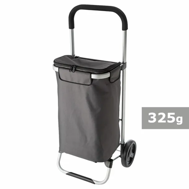  Shopping trolley, cooler bag A69F99