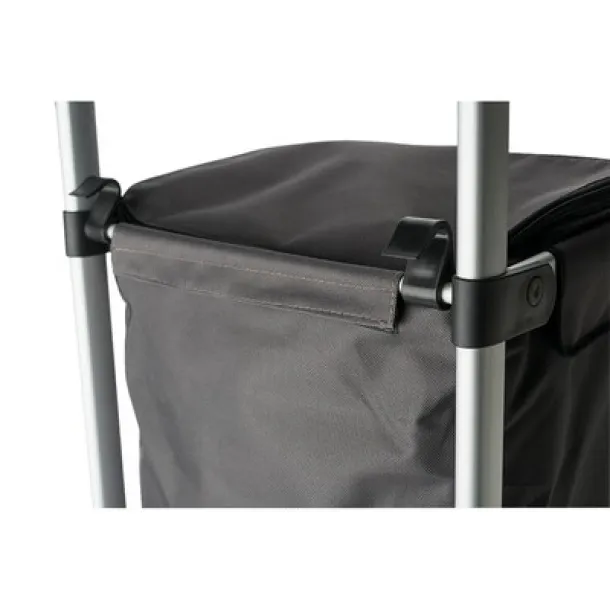  Shopping trolley, cooler bag A69F99