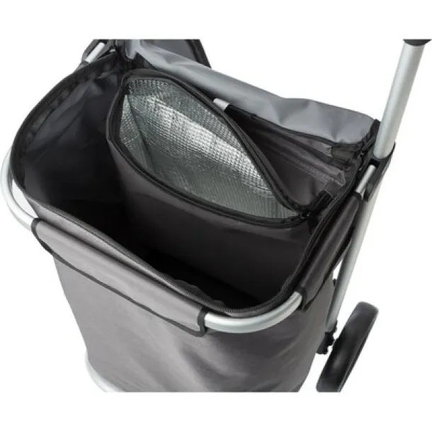  Shopping trolley, cooler bag A69F99