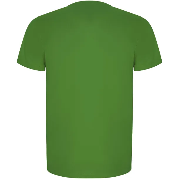 Imola short sleeve men's sports t-shirt - Roly Fern green