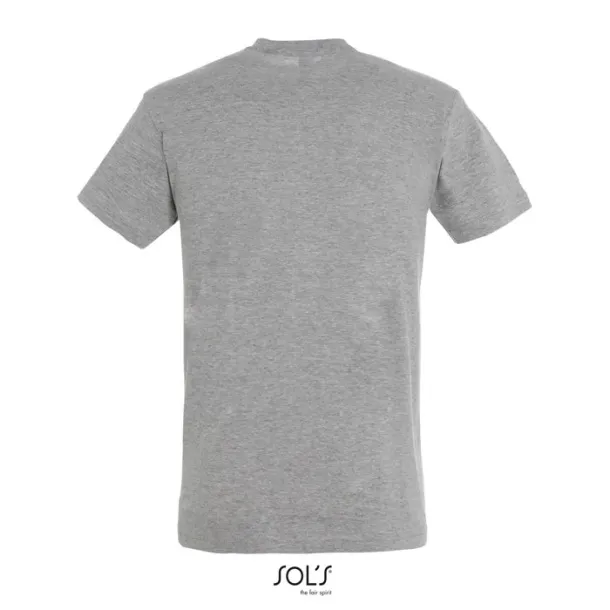 REGENT UNI TSHIRT-150g Grey Melange