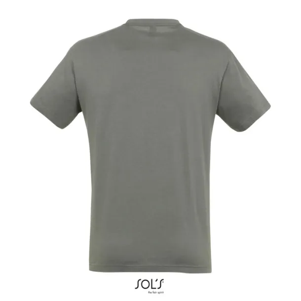 REGENT UNI TSHIRT-150g Cink