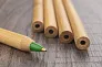 LASS Bamboo ball pen