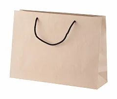 custom made paper shopping bag, horizontal