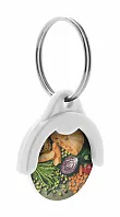 trolley coin keyring