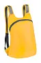 Ledor foldable backpack