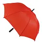 Typhoon umbrella