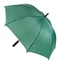 Typhoon umbrella
