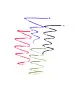 4 Colour ballpoint pen