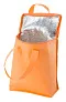Fridrate cooler bag