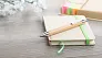 Bashania bamboo ballpoint pen