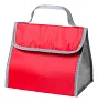Parlik cooler bag