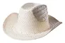 Palviz hat