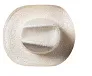 Palviz hat