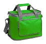 Kardil cooler bag