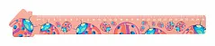 30 cm ruler, house