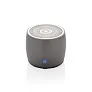 Swiss Peak bass speaker - Swiss Peak