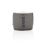  Swiss Peak bass speaker - Swiss Peak