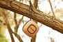  Baia 5W wireless speaker - XD Xclusive